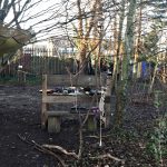 Forest School